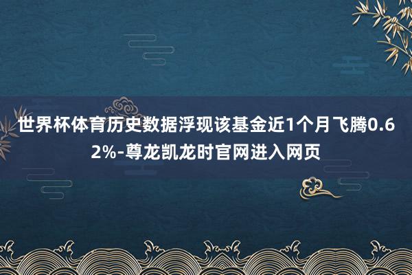 世界杯体育历史数据浮现该基金近1个月飞腾0.62%-尊龙凯龙时官网进入网页