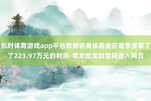凯时体育游戏app平台数据骄贵该基金在首季度罢了了223.97万元的利润-尊龙凯龙时官网进入网页