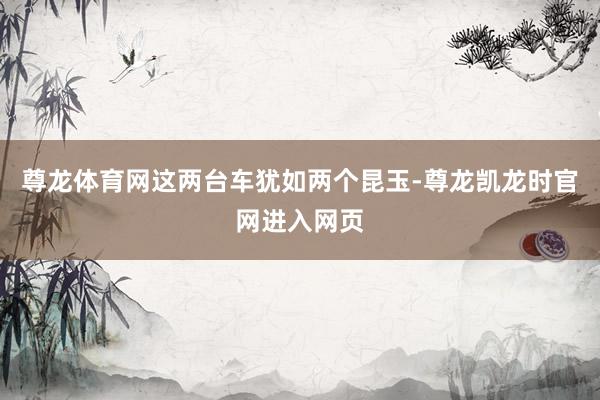 尊龙体育网这两台车犹如两个昆玉-尊龙凯龙时官网进入网页