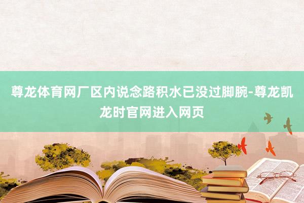 尊龙体育网厂区内说念路积水已没过脚腕-尊龙凯龙时官网进入网页