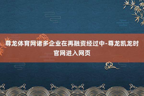 尊龙体育网诸多企业在再融资经过中-尊龙凯龙时官网进入网页