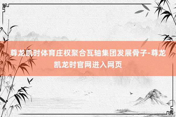 尊龙凯时体育　　庄权聚合瓦轴集团发展骨子-尊龙凯龙时官网进入网页